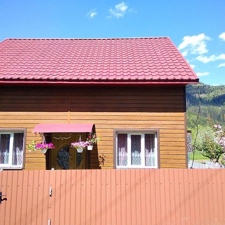 Відпочинок У Карпатах, Мінеральні Ванни, Банний Чан! Pensionat Verkhnyaya Bystra Eksteriør billede