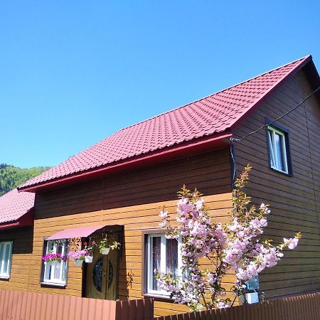 Відпочинок У Карпатах, Мінеральні Ванни, Банний Чан! Pensionat Verkhnyaya Bystra Eksteriør billede