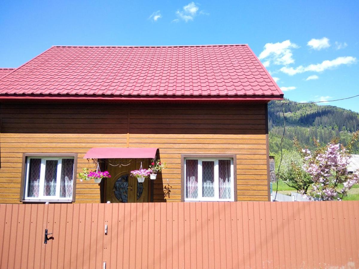 Відпочинок У Карпатах, Мінеральні Ванни, Банний Чан! Pensionat Verkhnyaya Bystra Eksteriør billede
