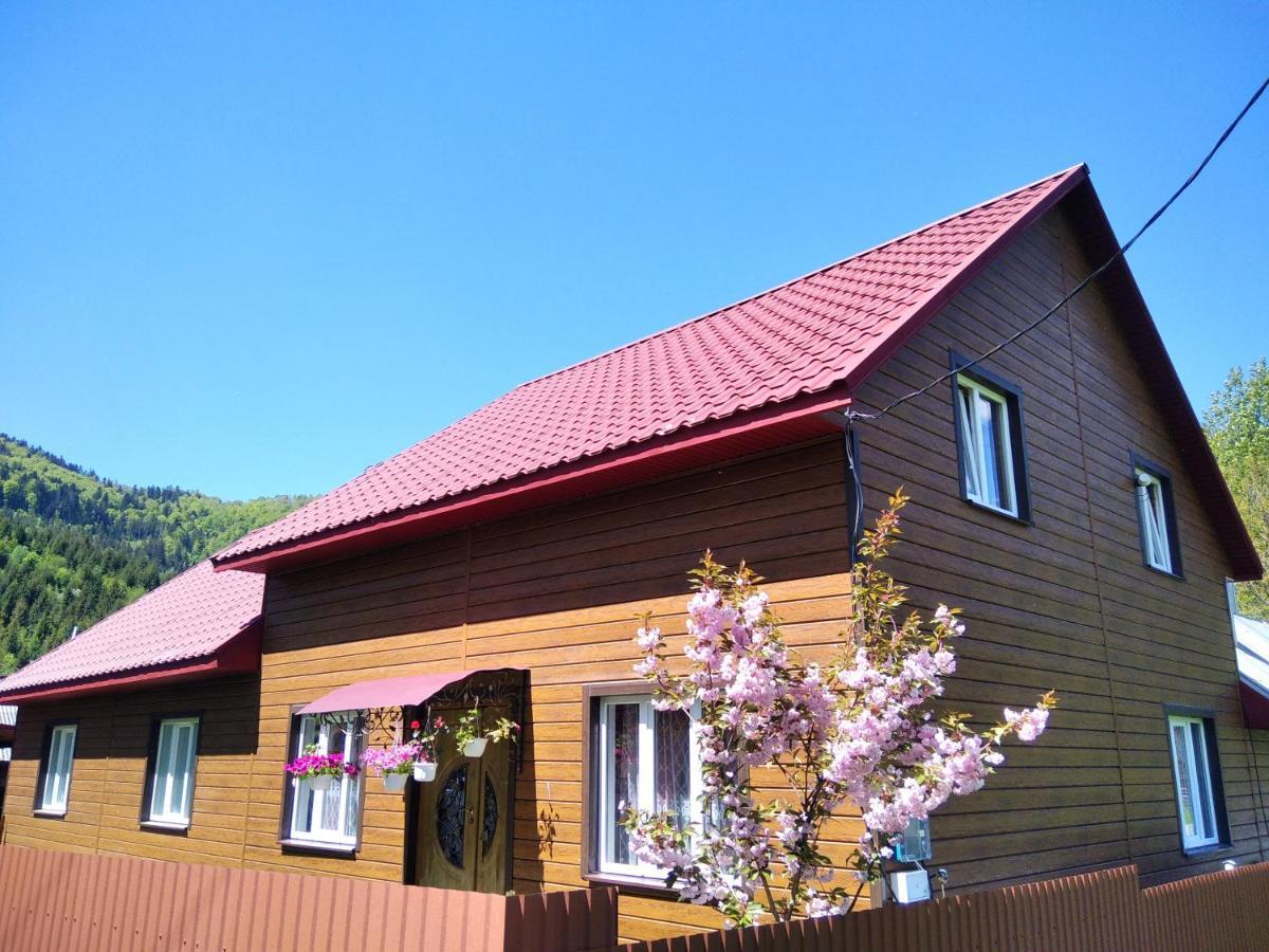 Відпочинок У Карпатах, Мінеральні Ванни, Банний Чан! Pensionat Verkhnyaya Bystra Eksteriør billede