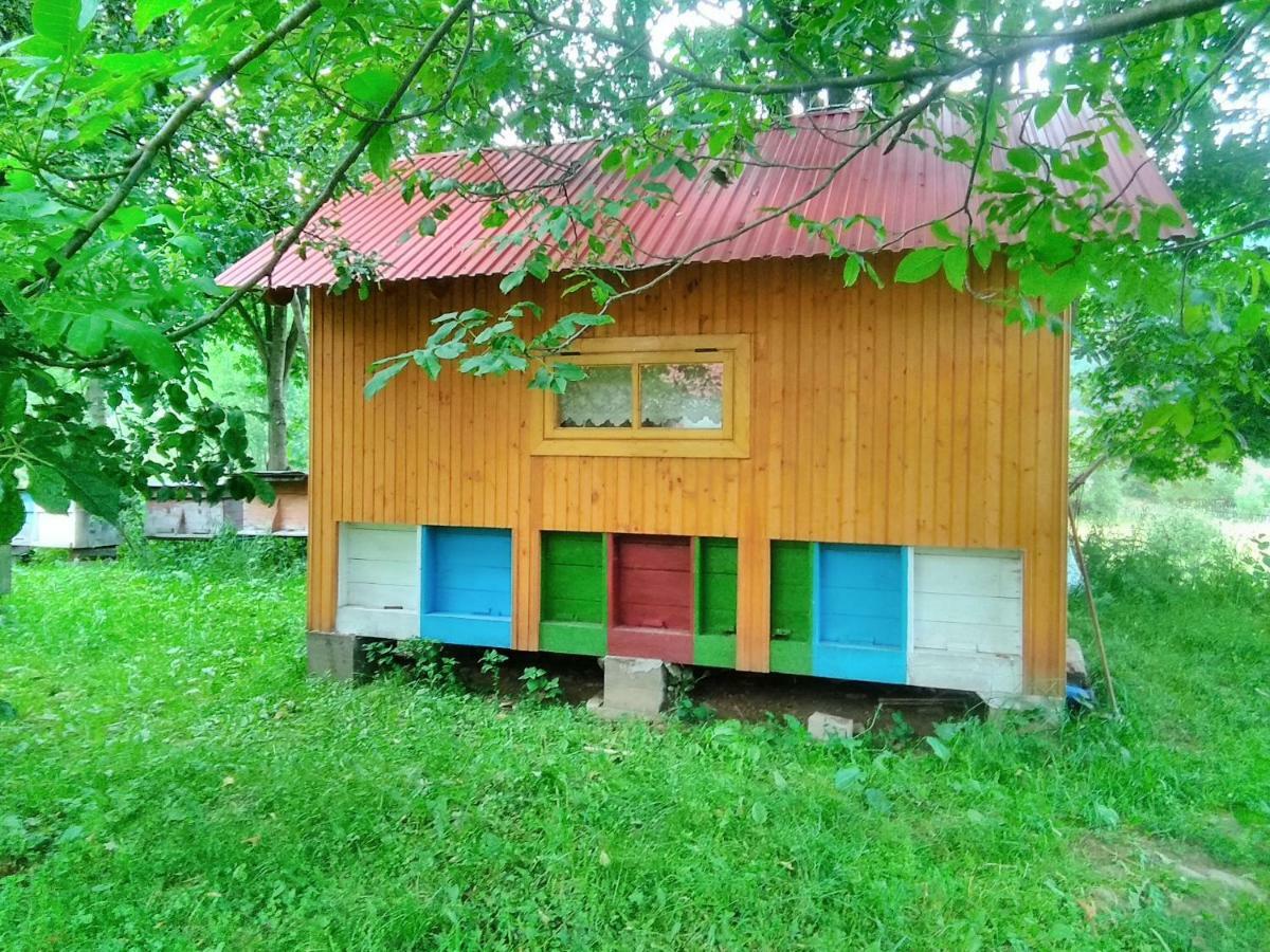 Відпочинок У Карпатах, Мінеральні Ванни, Банний Чан! Pensionat Verkhnyaya Bystra Eksteriør billede